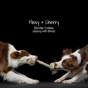 Jouet pour chien en corde de coton durable en gros, jouet à mâcher pour animaux de compagnie - Product Image 6