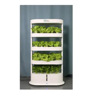 Meistverkaufte Gemüseanbaumaschine vorgefertigte Gewächshäuser hydroponisches aquaponisches Heimsystem für bio-gemüse
