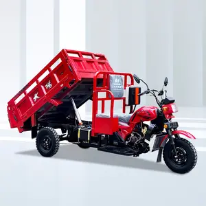Il depuratore di pressione del motore dell'isolamento economico all'ingrosso di qualità economica trasporta con forza il triciclo del motociclo