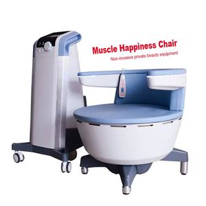 Estimulador Muscular de Piso Pélvico de Alta Intensidad, Máquina de Terapia de Continencia para Fortalecimiento Vaginal, para Uso Clínico - Product Image 1