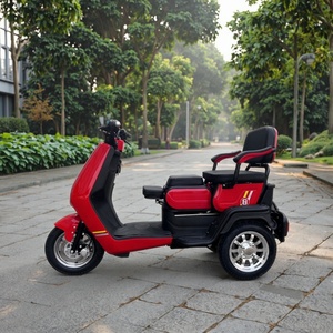 Motocicleta Eléctrica de Carrocería Abierta para Personas con Discapacidad, con Capacidad para 2 Pasajeros - Product Image 5