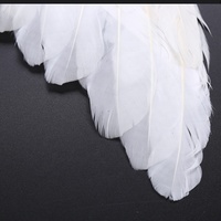 Ailes d'ange personnalisables avec de la pure plume Halo Dye-à motifs pour le défilé Costume Party Performance Holy Look