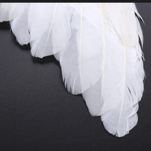 Ali <span class=keywords><strong>d</strong></span>'<span class=keywords><strong>angelo</strong></span> personalizzabili con colorante aureola di piume pura-fantasia per spettacoli di festa in Costume da parata - Product Image 6