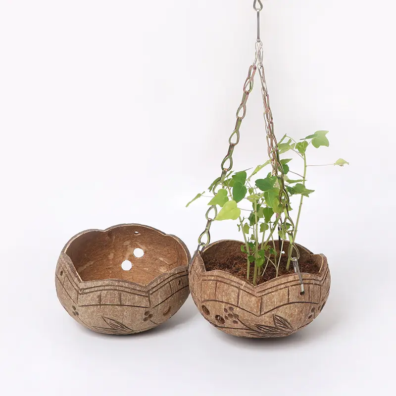Coconut Shell Hanging Pots for Plants small plants Indoor-outdoor 