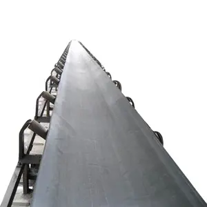 High Quality Ep Fabraic Conveyor Belt/Endless Belt Manufacturer