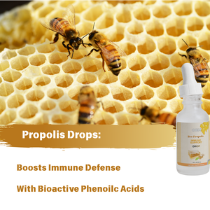 Extrait de propolis d'abeille de haute qualité en gros sous marque privée, gouttes liquides en suspension, complément alimentaire antioxydant à bon prix - Product Image 3