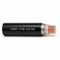 Câble électrique blindé en cuivre YJV22 0,6/1 kV 1 conducteur 50 mm² avec gaine en PVC pour projet de construction 1*50 mm²