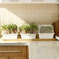 Set Hadiah Kit Penanaman Microgreens dengan 3 Baki dan Penyangga Bambu Alami untuk Sayuran Salad Dapur Dalam Ruangan