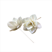 4.5cm 6cm Parfum Coloré Reed Diffuseur Fleur Bâton À La Main Sola Bois Fleur