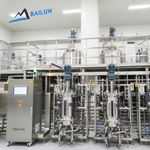 Biorreactor de Vitamina C (Ácido Ascórbico) de 30L, Fermentador de Acero Inoxidable con Precio y Control Automatizado, Reactor Químico - Product Image 1