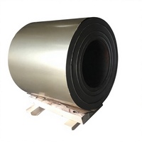 Bobine d'acier laminé à froid prélaqué SGCC couleur personnalisée pour panneaux d'appareils électroménagers