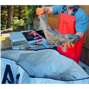 Muestra Gratis: Bolsa Térmica para Pescado con Fondo Plano, 48in 60in 72in 90in, Bolsa Grande para Pescado Capturado, Impermeable y Plegable - Product Image 4