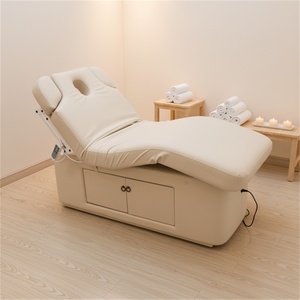 Cama de Masaje Tailandesa Kisen, Eléctrica y Manualmente Ajustable, Cama de Belleza Personalizada, Mesa para Salón, Clínica u Hospital, en Oferta - Product Image 1