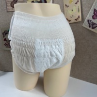 Fabricant chinois certifié CE dans l'UE pour les culottes jetables pour femmes menstruelles Japon Sous-vêtements périodiques de haute qualité pour femmes