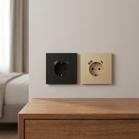 Prise murale USB-C Schuko allemande avec double ports USB Type C, résistante aux manipulations, SDK Network