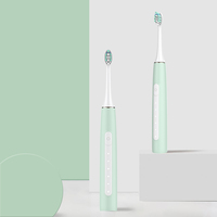 Voyage Portable IPX7 adulte minuterie nettoyage Oral blanchiment des dents brosse à dents poils souples Rechargeable sonique brosse à dents électrique BS62