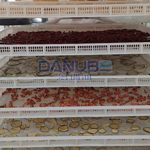 Séchoir à betteraves intelligent et efficace Séchoir automatique à pompe à chaleur Four de séchage de légumes pour le traitement des betteraves - Product Image 5