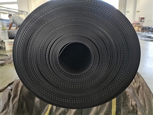 Géomembrane robuste imperméable en HDPE/LDPE pour revêtement de barrage et bassin de pisciculture, très demandée en Afrique - Product Image 6