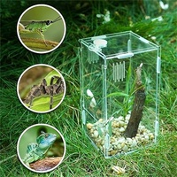 Installer Simple Clear Watch Acrylique Mini Reptile Habitat Serrure de porte pour Lupus Corps étranger Cafard Invertébré
