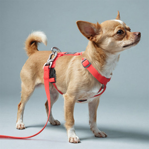 Et Arness at hhest Trap trampa Ype oogs traps trampas ututdoor alalking eat elelts - Product Image 3