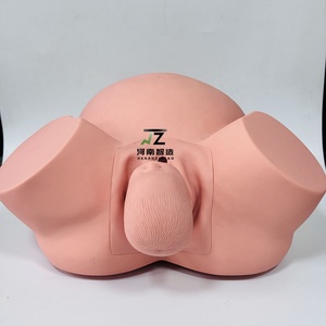 Maniquí de Enseñanza Médica, Modelo Avanzado para Entrenamiento de Partería - Product Image 4