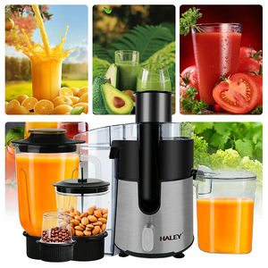 Haley 1200W Mélangeurs électriques à grande vitesse et centrifugeuses <span class=keywords><strong>Extracteur</strong></span> <span class=keywords><strong>de</strong></span> fruits pour smoothies pour usage résidentiel <span class=keywords><strong>ou</strong></span> hôtelier commercial - Product Image 3