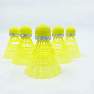 Professionele Kwaliteit Nylon Shuttle Duurzame 6Pcs/12Pcs Tube Training Badminton Birdies Shuttle Birdie Shuttles