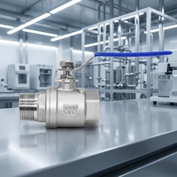 Vanne à boisseau sphérique manuelle en acier inoxydable 201 à noyau perforé pour conduites de vapeur, fabrication OEM, vente en gros