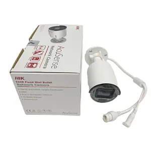 Hik-Vision Menselijk Voertuig Classificatie Ingebouwde Microfoon Waterdichte Kogel 4mp Ip Camera DS-2CD2043G2-IU