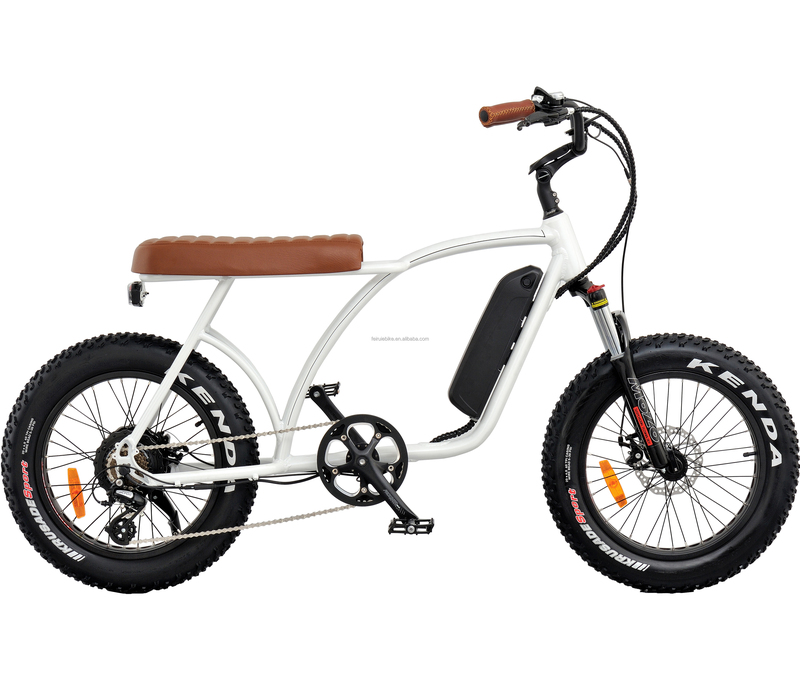 Two Seats Motorcycle Electric Bike Bafang
