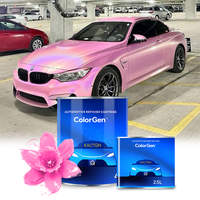 Peinture de voiture 2K pour auto, vernis acrylique, revêtement transparent, finition des métaux, peinture bonbon 1K pour voitures, automobile