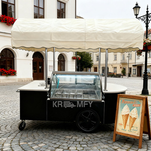 <b>Small</b> Fiberglass Electric <b>Ice</b> Cream Vending Food Cart Freezer Stainless Steel Construction Brushless Motor Lithium Battery 36V - Product Image 5