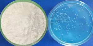 Probióticos Enterococcus Faecalis (Microecológicos de Grado Alimenticio) para Peces, Cerdos, Pollos, Vacas y Ovejas, Aditivos para Alimentos, Origen Shandong - Product Image 5