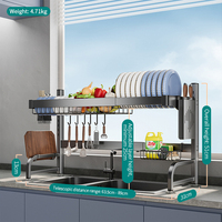 Égouttoir à vaisselle extensible à un seul niveau avec plateau en plastique, en acier inoxydable 201, pour évier, accessoires de cuisine