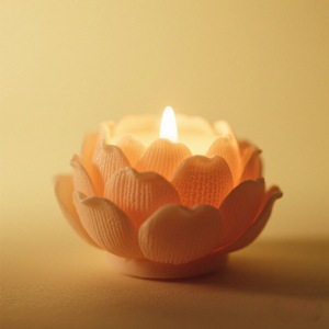 Stampi in Silicone per Torte a Forma <span class=keywords><strong>di</strong></span> Fiore (Rosa/Peonia/Loto) Personalizzabili con <span class=keywords><strong>Disegni</strong></span>/Esemplari, Confezione Individuale OPP - Product Image 4