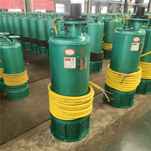 Pompe à boue submersible antidéflagrante BQS55KW 7,5 CV à bride de 1-1/2 pouces, centrifuge électrique pour l'exploitation minière du charbon - Product Image 3