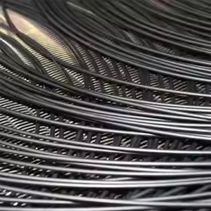 OEM Factory Hot Sales Low MOQ galvanized high carbon steel <b>wire</b> - Product Image 1