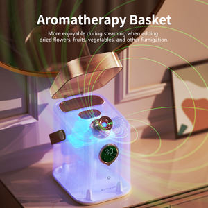 Appareil de soin du visage à vapeur pour la maison, fonction intelligente, brume ionique chaude et froide, vaporisateur électrique, hydratant pour le visage - Product Image 5