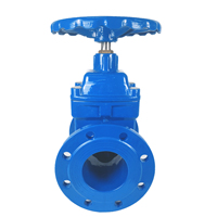 Vanne de contrôle hydraulique en acier forgé, flantée, 6 pouces, accroche sur porte d'eau, 1 pièce