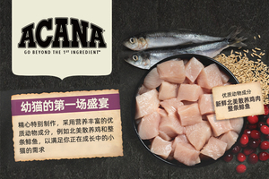 <span class=keywords><strong>ACANA</strong></span> Alimento para Gatitos Alto en Proteínas 4.5kg Fórmula Digestible Sin Granos de Pollo en Bolsa - Product Image 2