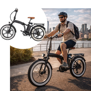 Vélo de montagne électrique en aluminium 36V 11Ah Batterie au lithium 250W 20*4 Inch <span class=keywords><strong>Fat</strong></span> Tire e <span class=keywords><strong>bike</strong></span> <span class=keywords><strong>Fat</strong></span> Tire e-<span class=keywords><strong>bike</strong></span> 50-60KM - Product Image 1