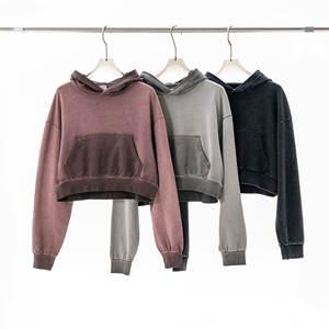 Logo personnalisable automne et hiver nouveaux modèles sweats à capuche unisexe 380g polaire et plus épais sweats à capuche et sweat-shirts pour hommes - Product Image 5