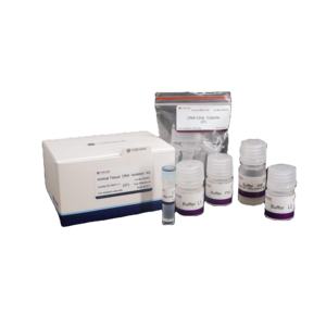 Foregen – réactif de laboratoire 5T, échantillon <span class=keywords><strong>gratuit</strong></span>, extraction de l'<span class=keywords><strong>adn</strong></span> et de l'arn, kit d'isolation de l'<span class=keywords><strong>adn</strong></span> des tissus animaux - Product Image 1
