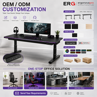 Bureau debout électrique avec éclairage RGB, hauteur réglable, bureau de travail avec plateau en fibre de carbone, contrôle par mémoire