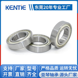 Fournisseur direct d'usine 6007ZZ Roulements à billes en céramique à gorge profonde en acier inoxydable 35*62*14mm Moteur haute vitesse Résistant à l'usure 2RS - Product Image 4