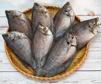 Peau de serpent séchée de qualité supérieure, poisson gourami (Trichogaster Pectoralis) - Séchée au soleil/séchée au four, en-cas frits, saveur de viande - Vietnam