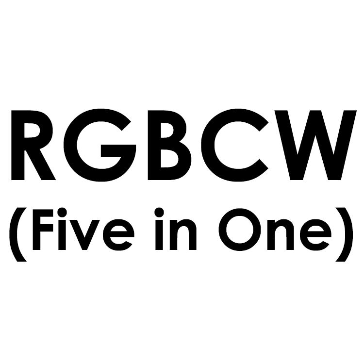 RGBCW (cinq en un)