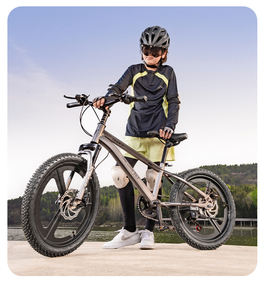 <span class=keywords><strong>Bicicleta</strong></span> <span class=keywords><strong>Infantil</strong></span> para Niños Pequeños y Medianos, Bici Ligera con Doble Amortiguación, Tipo Montaña de 18 a <span class=keywords><strong>24</strong></span> <span class=keywords><strong>Pulgadas</strong></span> - Product Image 2