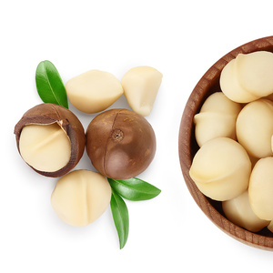 Factory Direct Bulk Sale Organic Chinese Macadamia <b>Nuts</b> Freshly Roasted Cream In-Shell Dried Food Cheap Price Macadamia <b>Nuts</b> - Product Image 4