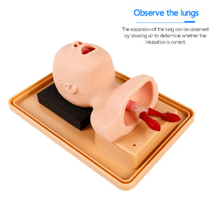 Simulateur professionnel d'intubation crânienne pour nouveau-nés pour la <span class=keywords><strong>réanimation</strong></span> néonatale BIX-J2A, simulateur grandeur nature pour la gestion des voies respiratoires pédiatriques - Product Image 1